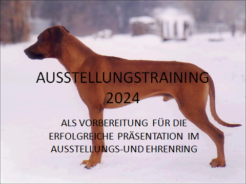 RRCÖ-Ausstellungstraining 20. Jänner 2024 von 10-17 Uhr